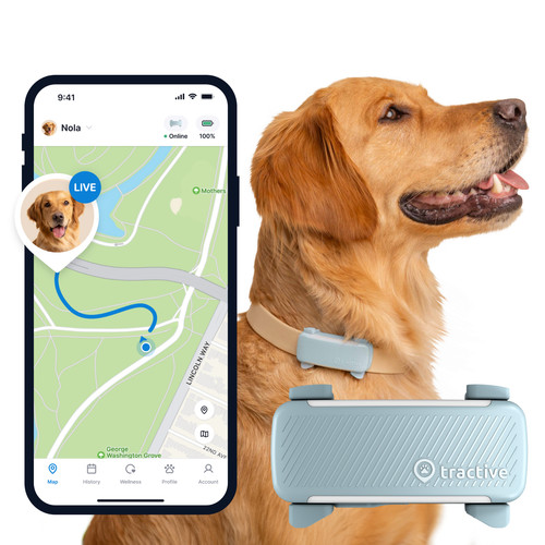 Collare cane tractive - cane, 6