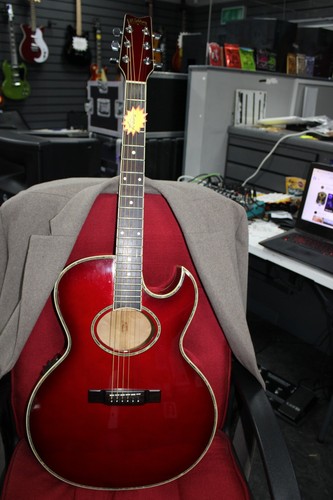 Washburn elettroacustica ea40 - washburn,