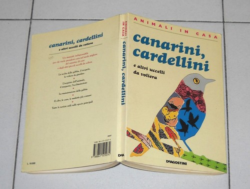Canarini cardellini altri - canarini,