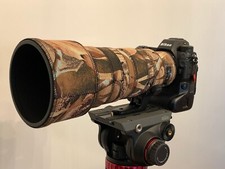 Nikon Z 400 f4.5 VRS