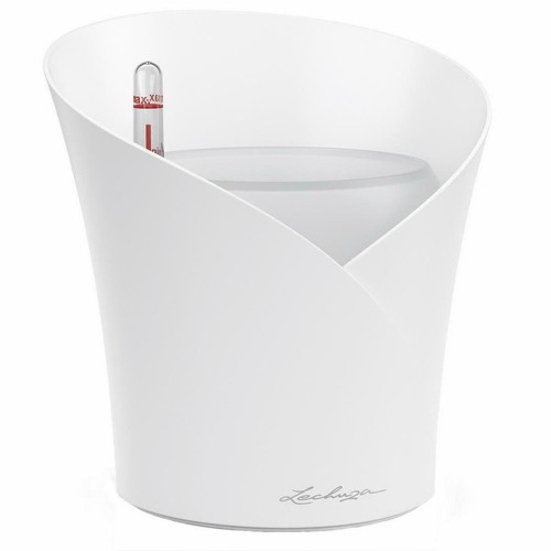 Vaso per orchidee lechuza - per,