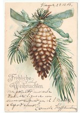 1902 In Rilievo cartolina natalizia Art Nouveau pigna ramo di abete Weihnachten