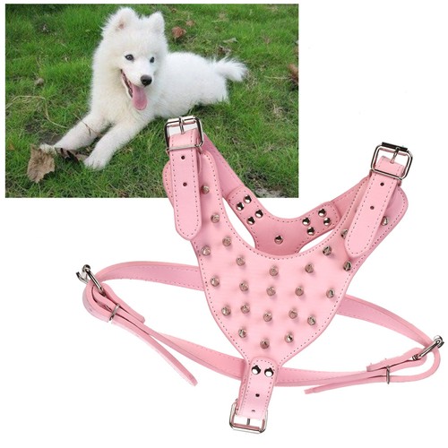 Pettorina per cani con - per,