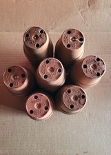 100 Vasetti  in plastica TONDI  5,5 CM  per Carnivore E Cactacee