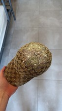 Gucci Cappellino Da Baseball