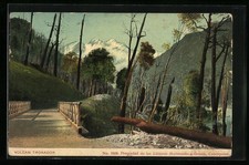 Cile, Volcan Tronador con