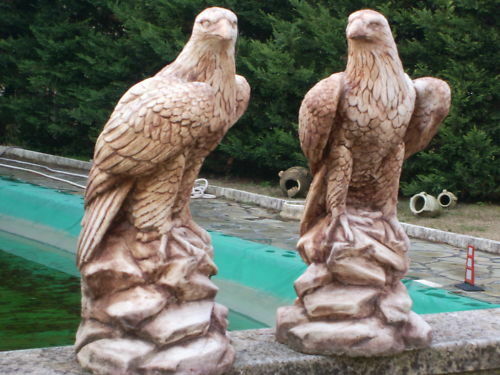 Coppia aquile statua - coppia,