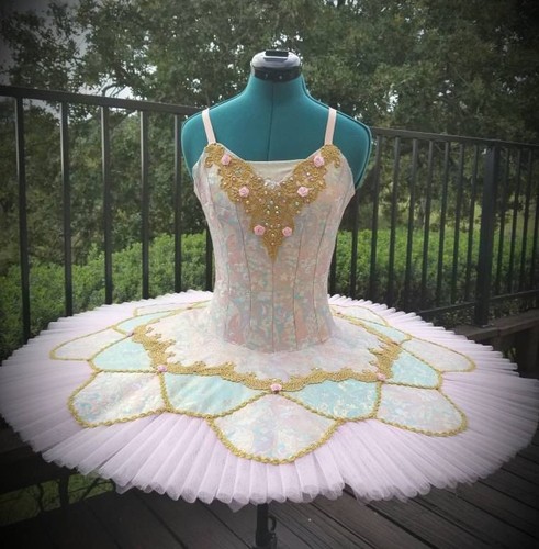 Balletto professionale tutù