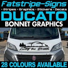 Fits fiat ducato graphics - ducato,