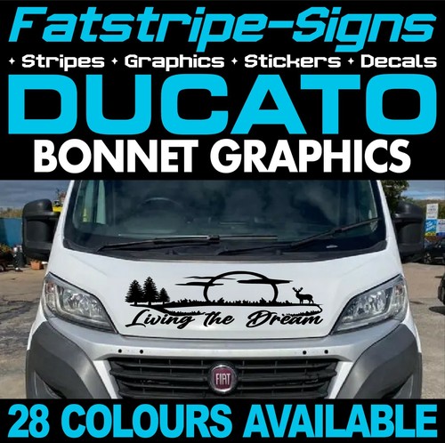 Adatta fiat ducato - si,
