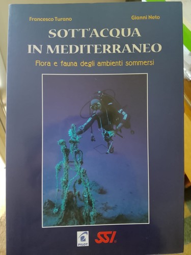 Sott acqua mediterraneo - sott'acqua,