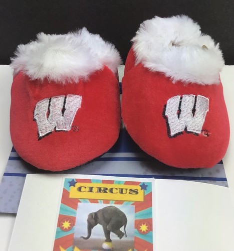 Wisconsin badgers ncaa - wisconsin,