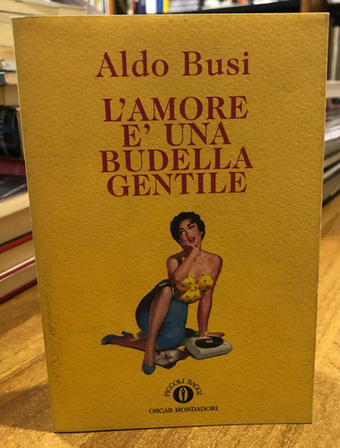 1994 aldo busi amore una - e',