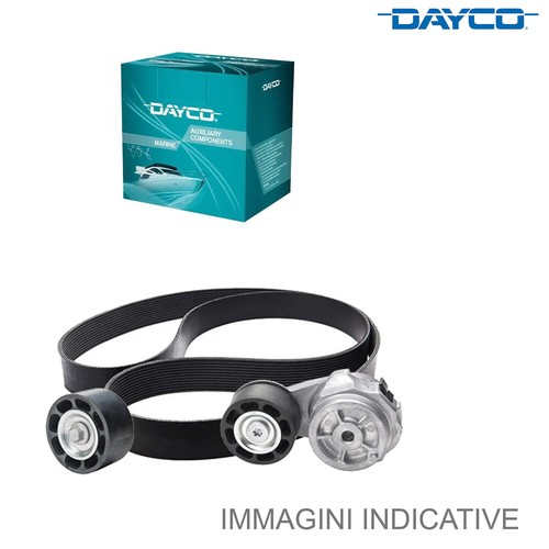 Tenditore ausiliario dayco - tenditore,