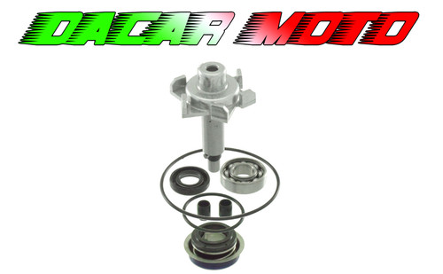 Kit revisione pompa acqua
