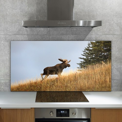 Alce toro collina 140x70 - alce,
