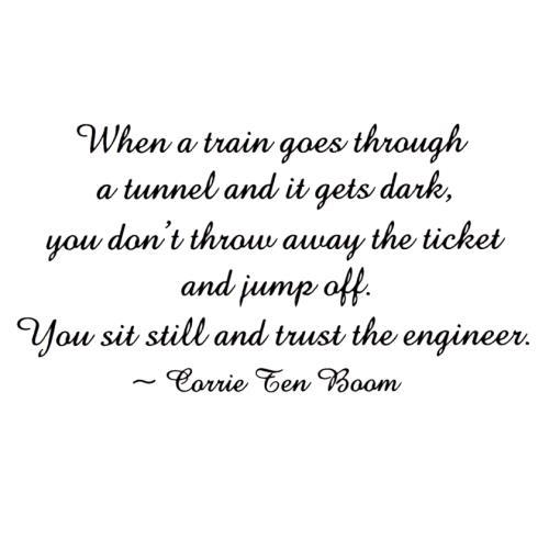Trust the engineer - the, timbro