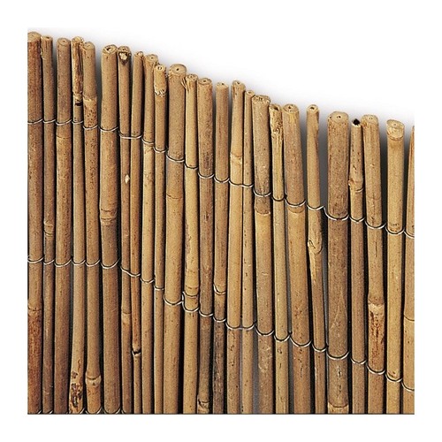 Arelle canna bamboo esterno - bamboo,