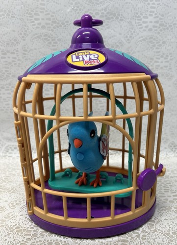 Little live pets lil bird - pets, &