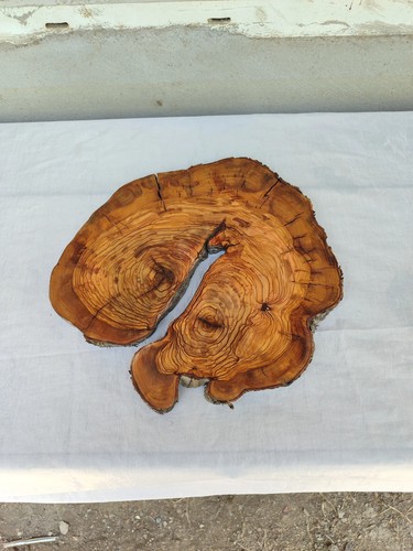 Lastra legno ulivo bordo - di, di