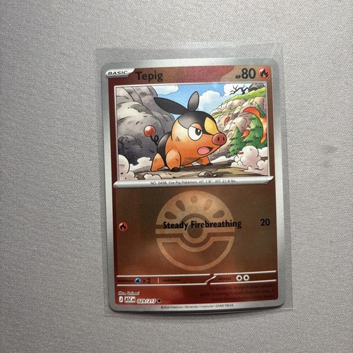 Tepig me - ball),