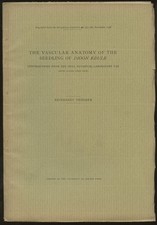 Reinhardt Thiessen / Vascular