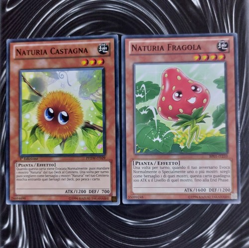 Naturia castagna - castagna,