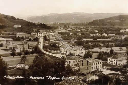 Cartolina calamandrana - cartolina,