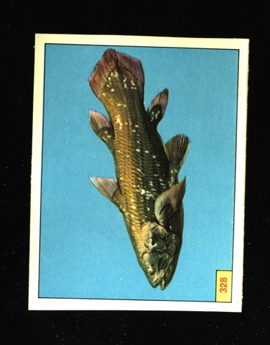 Animali preistorici - animali,