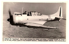 Douglas SED "Dauntless" Caccia