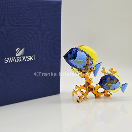 Swarovski dottore pesci color - dottore,
