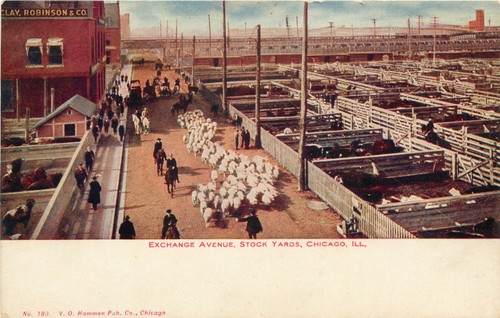 Cartolina illinois chicago - cartolina, il