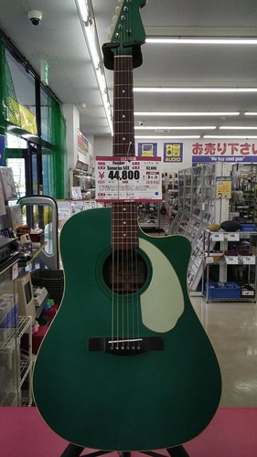 Chitarra elettrica acustica