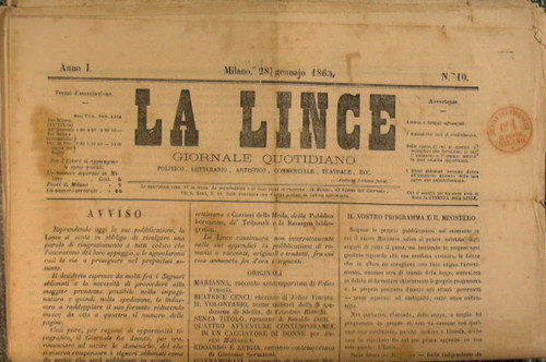Lince - la,