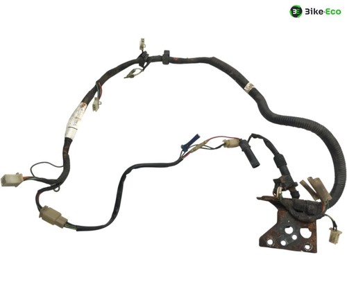 Faisceau electrique honda tlr - faisceau,