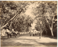 Ceylan, Colombo  vintage