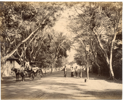 Ceylan colombo vintage - colombo,