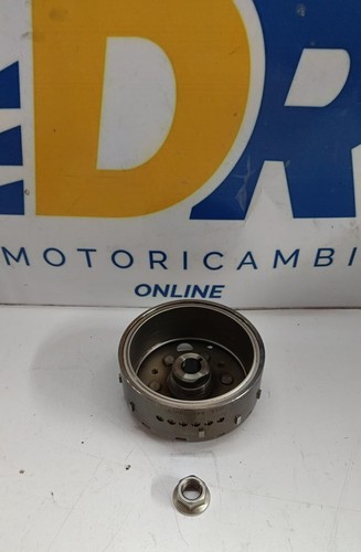 Volano campo magnetico suzuki - magnetico,