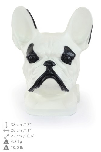 Bulldog francese bianco testa - francese,