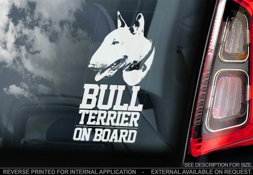 English bull terrier car - terrier,