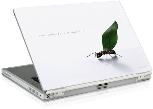 Notebook skin - skin, 11,6