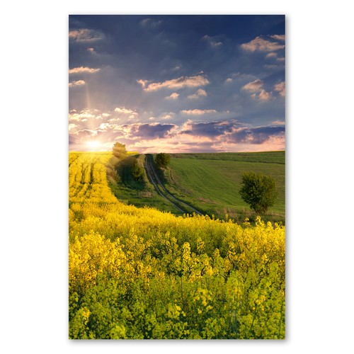 Postereck 1817 poster - , tela