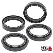 KIT PARAOLI E PARAPOLVERE