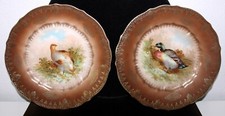 Coppia piatti uccellini CT