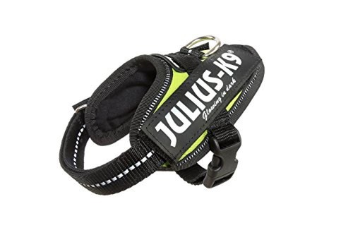 Julius k9 - 3xs, 1)