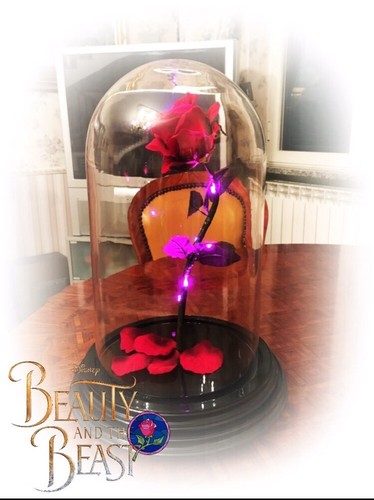 Beauty beast fairytale rosa - fairytale,