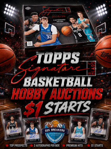 Toronto raptors custodia - toronto,