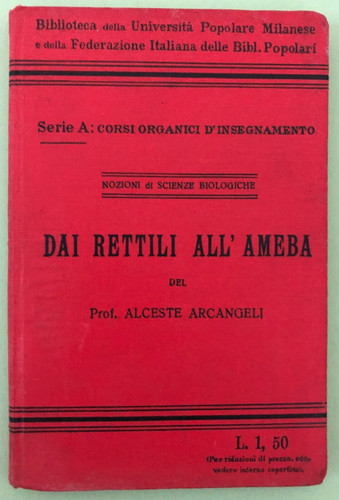 Arcangeli dai rettili - dai,