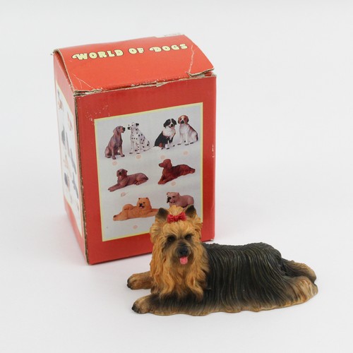 World dogs yorkshire - of,