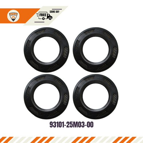 93101 25m03 per - per, motore